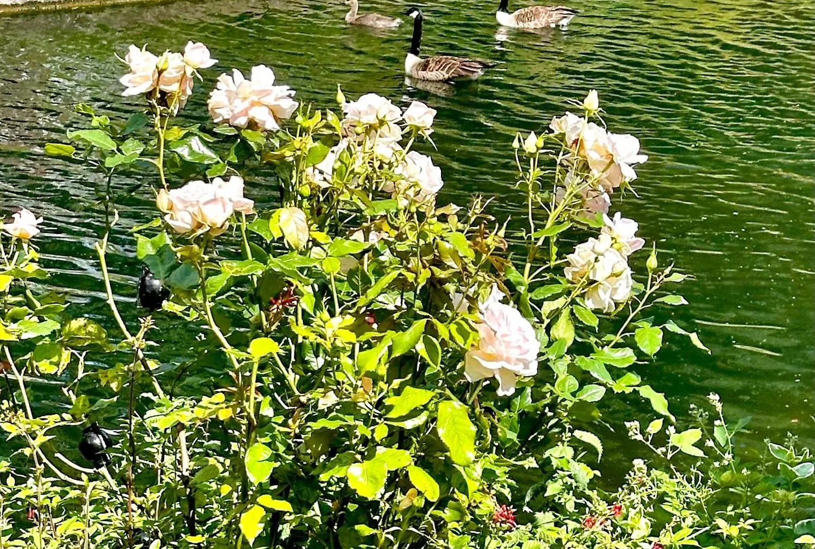 Canal View House: City of London Oasis United Kingdom